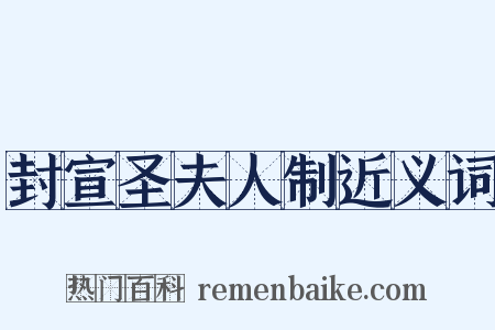 封宣圣夫人制近义词是什么意思的图片